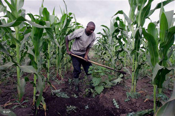 Article : Ressources naturelles et agriculture: une Afrique émergente d’ici 2025