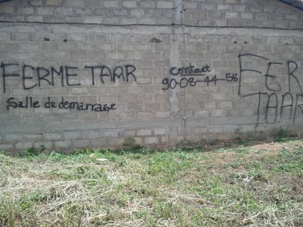 Article : Ferme TAAR : une des grandes fermes agricoles du Togo